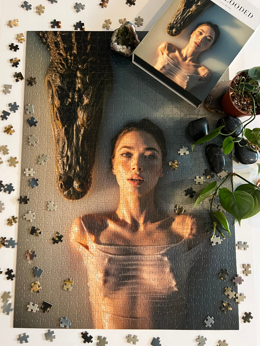 The Bold & Beautiful Bundle