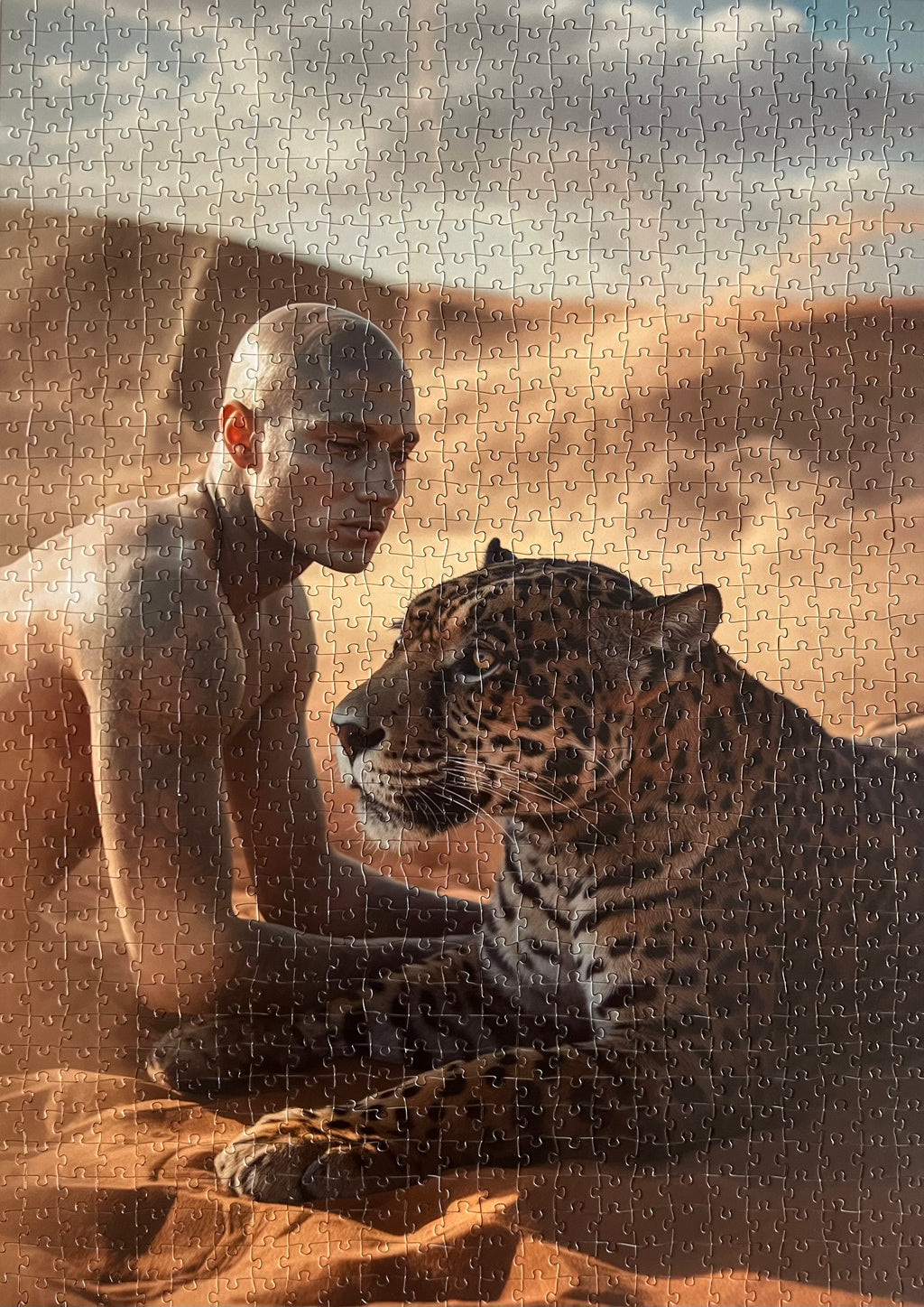 The Bold & Beautiful Bundle