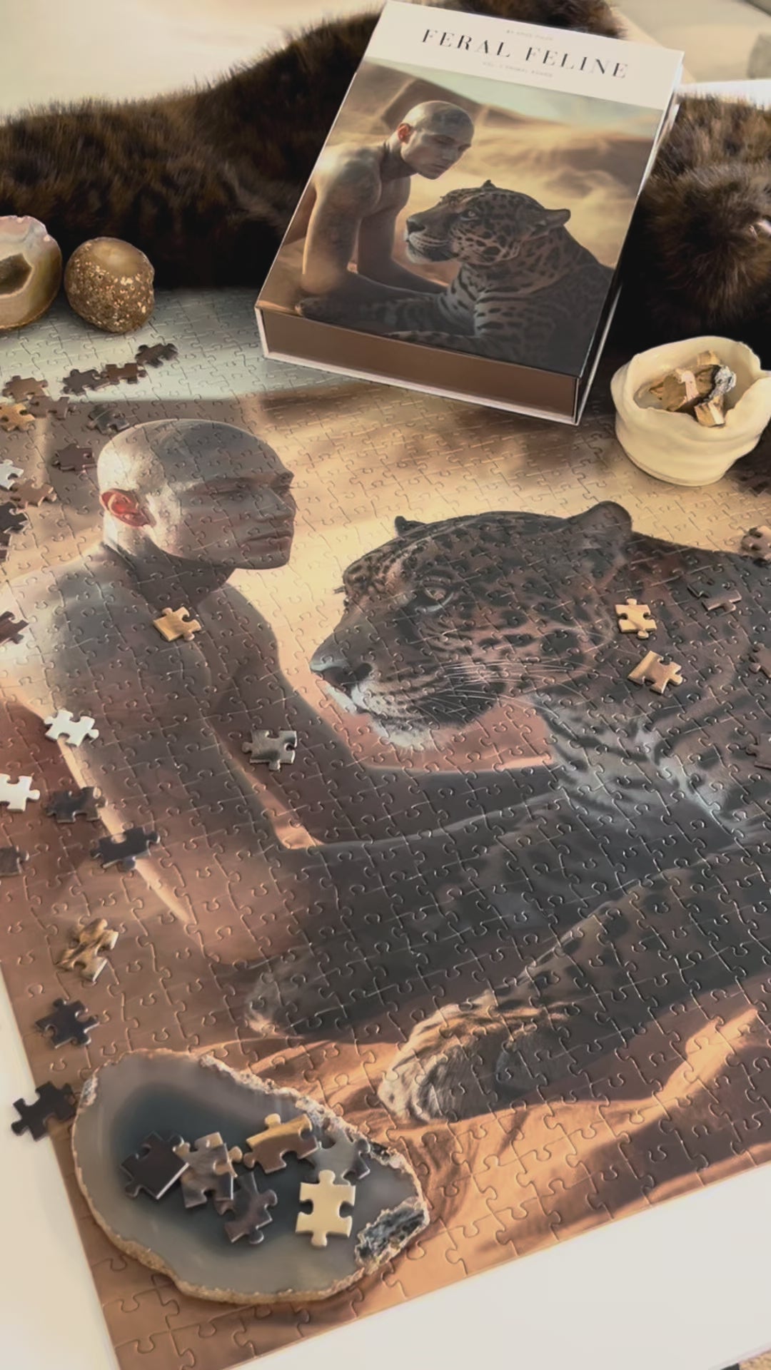 Feral Feline Vol. 1 Primal Bonds