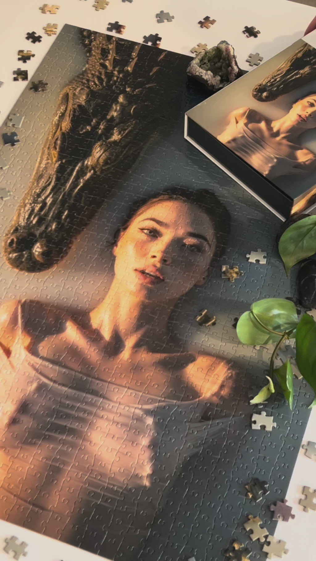 The Bold & Beautiful Bundle